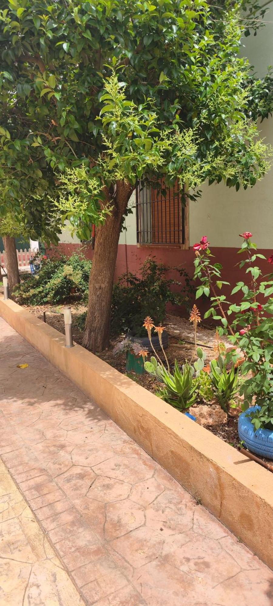 Casa Rural El Tejar San Clemente  Esterno foto