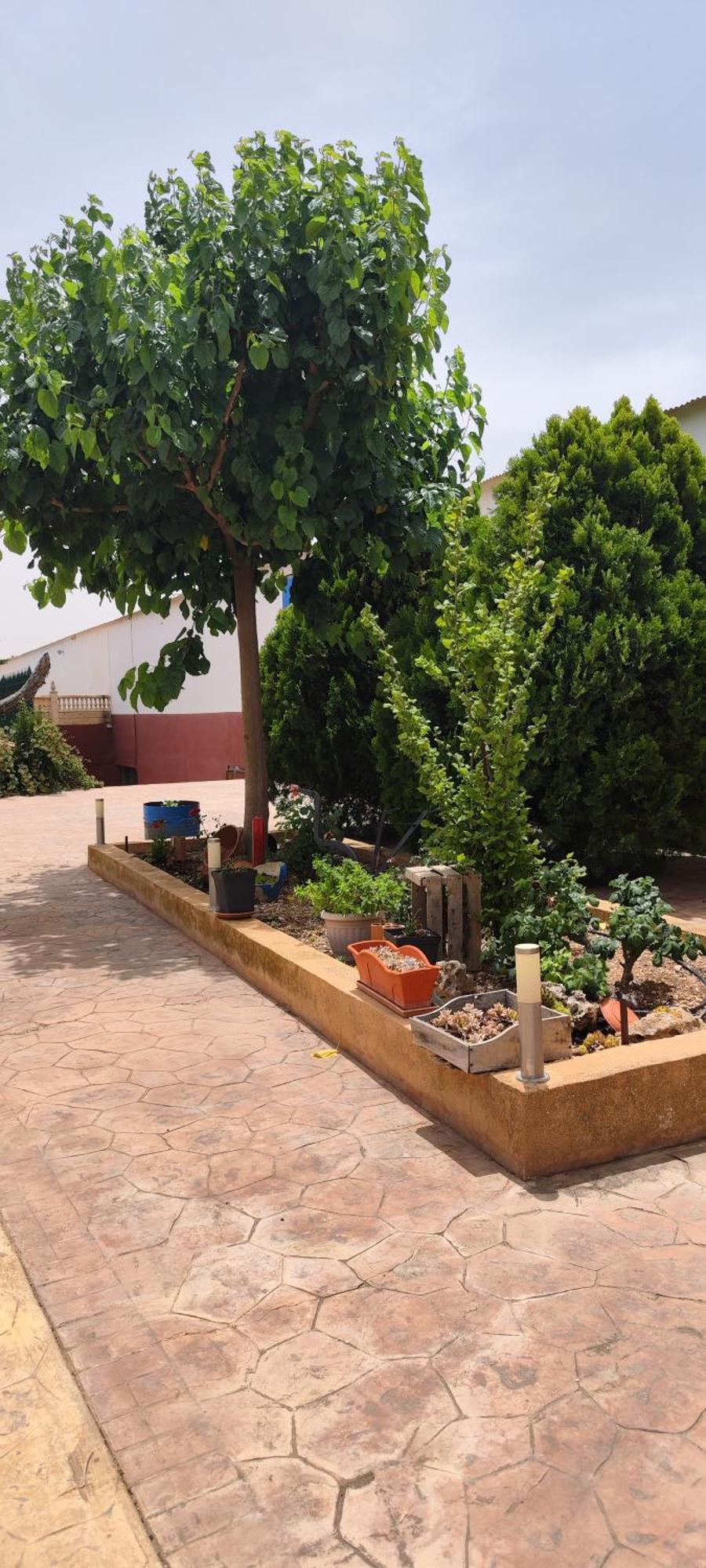 Casa Rural El Tejar San Clemente  Esterno foto